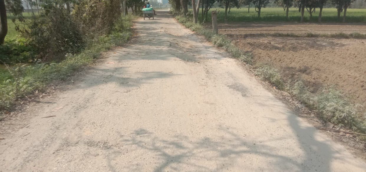 Due to potholes on the road, even walking is difficult.