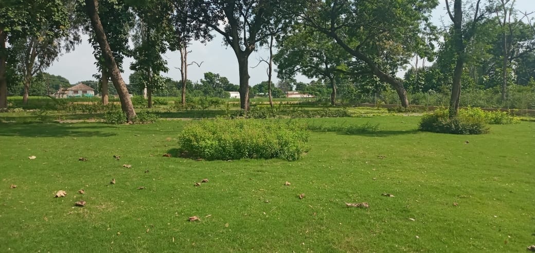 Biodivertsity Park in Dhela Zone