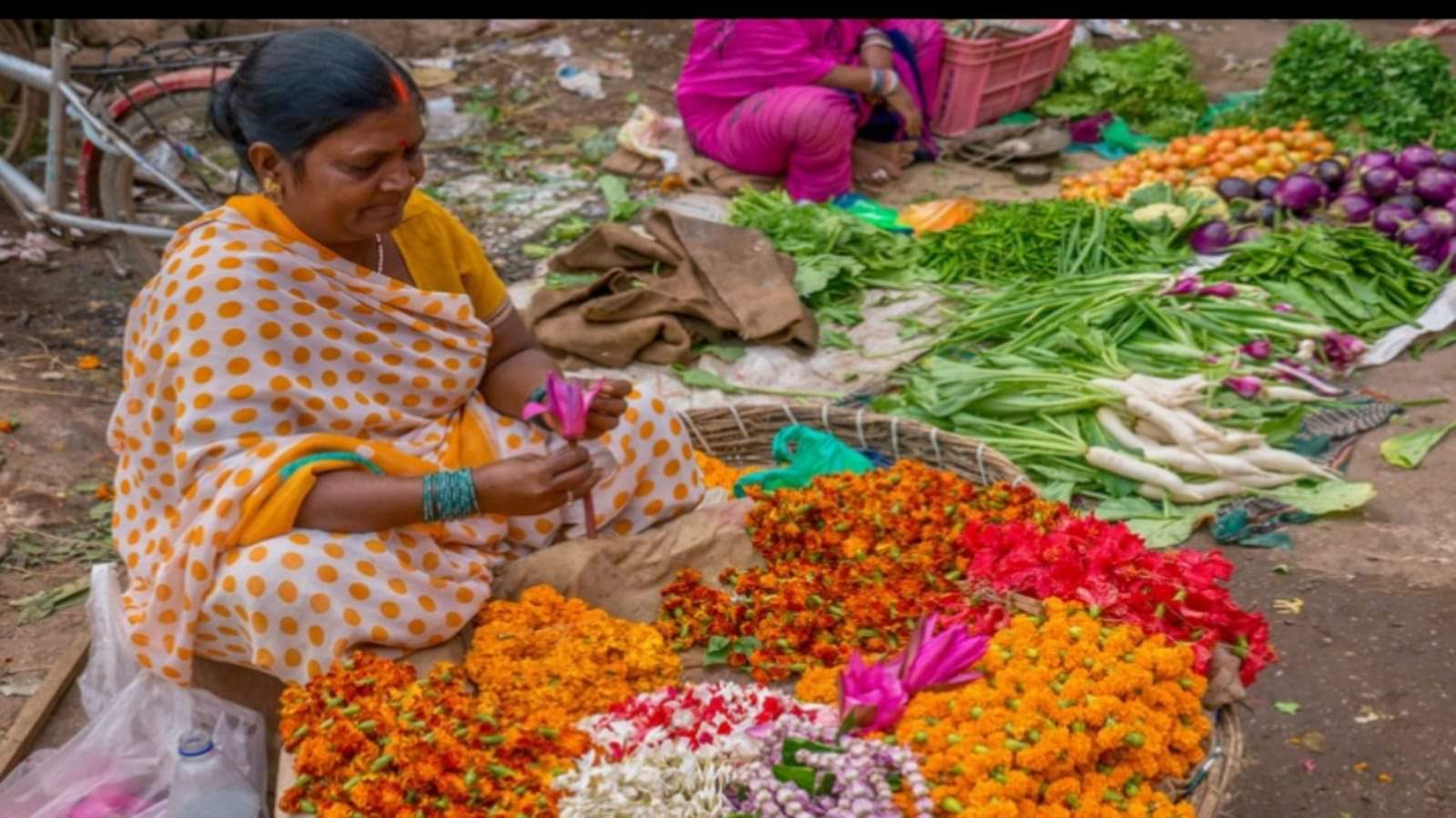 Vidhwa Pension Yojana widow women women get pension under this scheme know the benefits