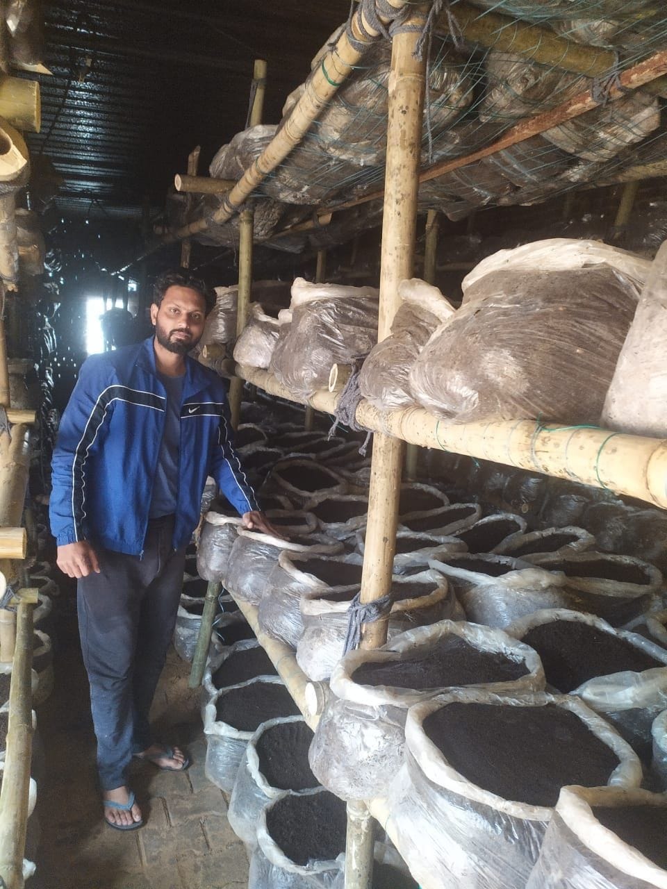 Deepak is earning Rs 4.80 lakhs by growing 60 quintals of mushrooms per month with advocate