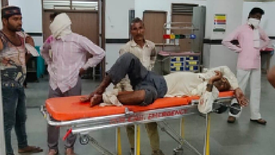 Chhatarpur: Was going to celebrate Holi, bike collided with milestone, leg split into two pieces