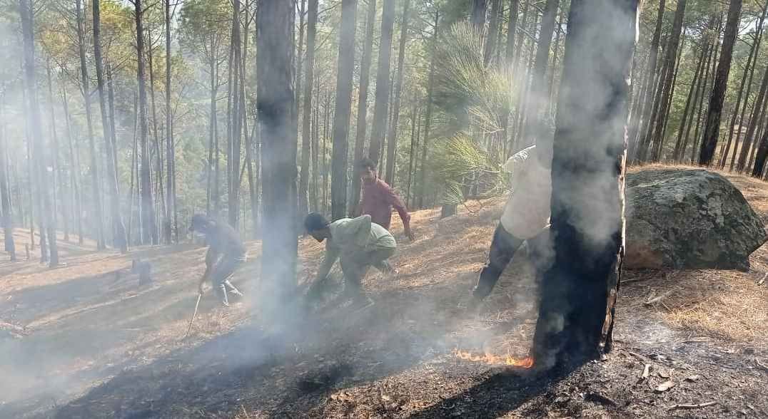 Fire At Bageshwar Jungle