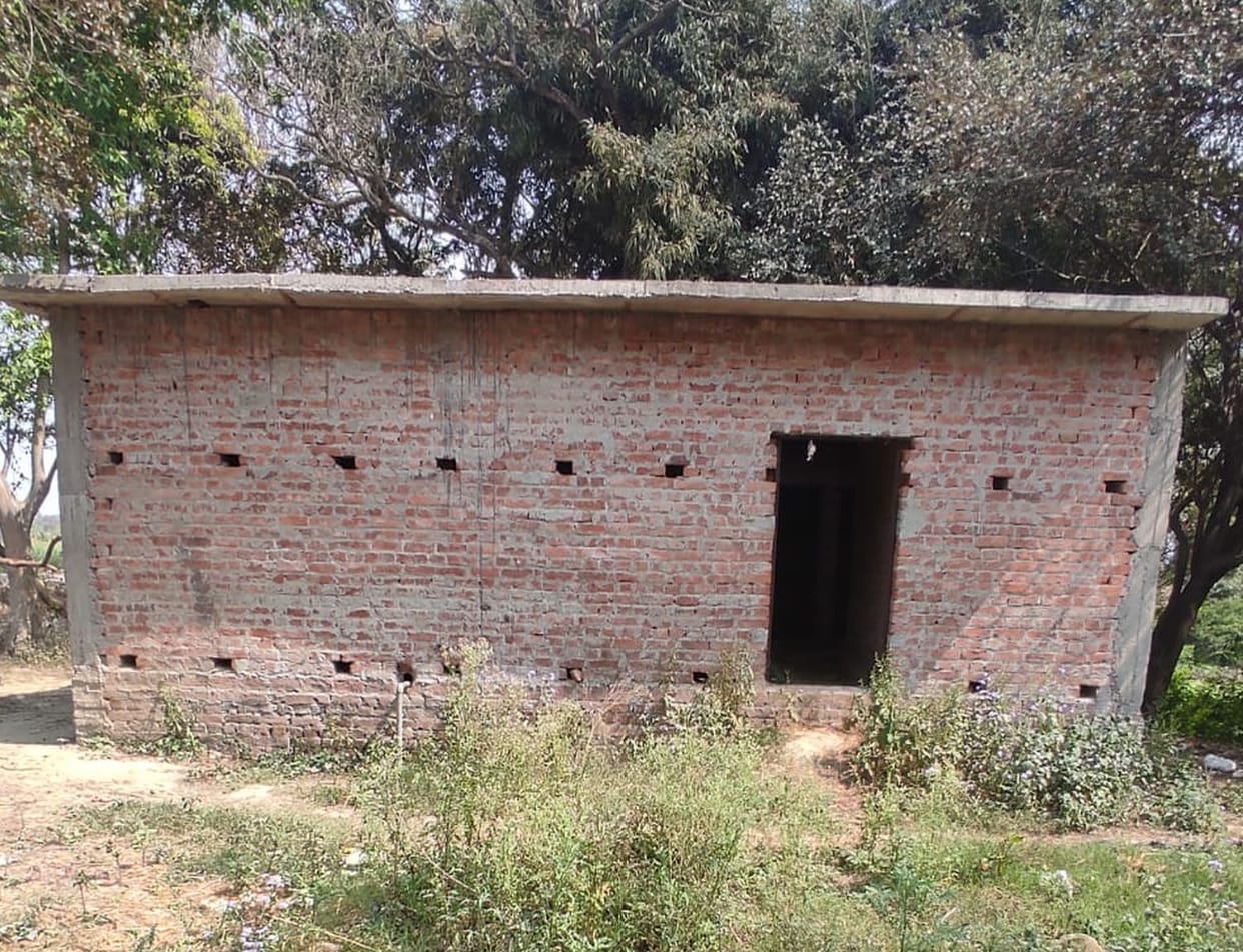 toilet,common