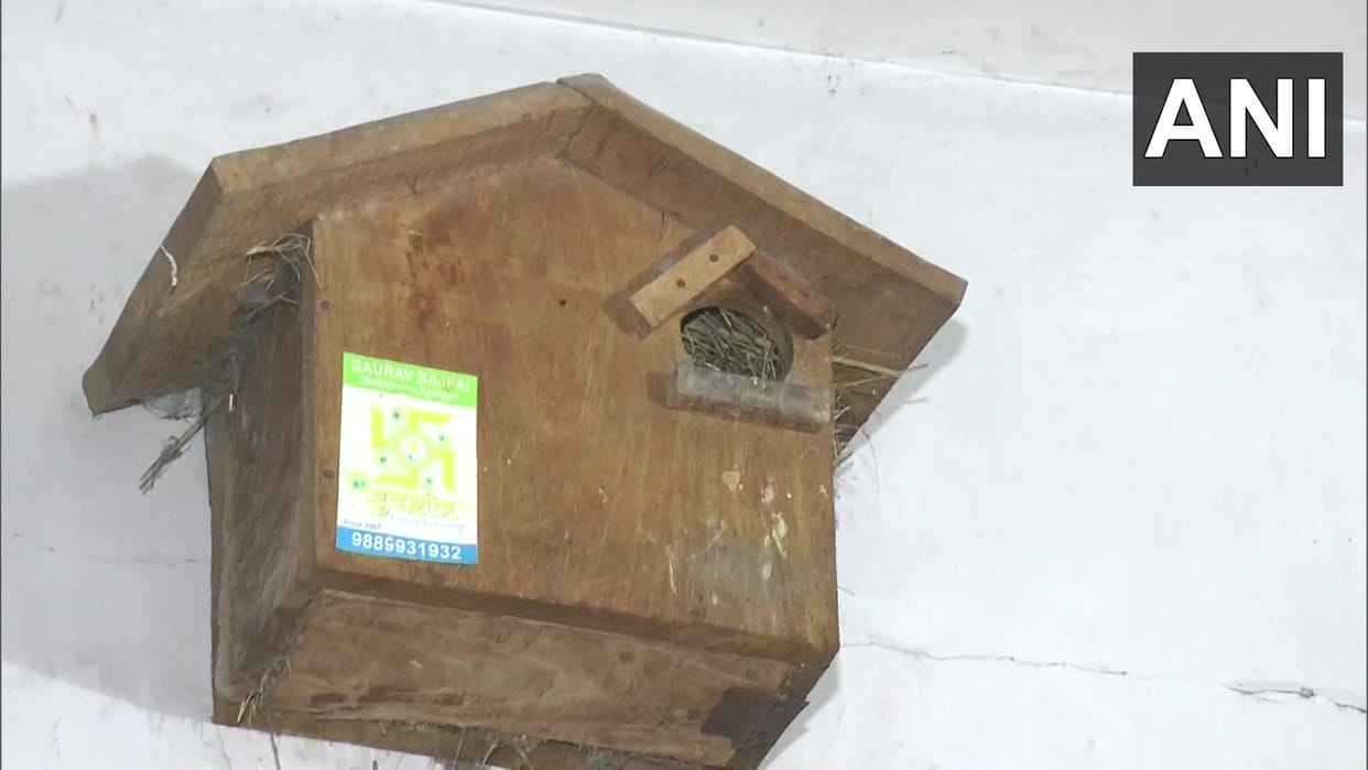 World Sparrow Day: Volunteers set up nests at different places in Kanpur campaign continues since 2014