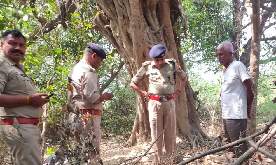 The severed head of the baby was found in the garden, could not be identified