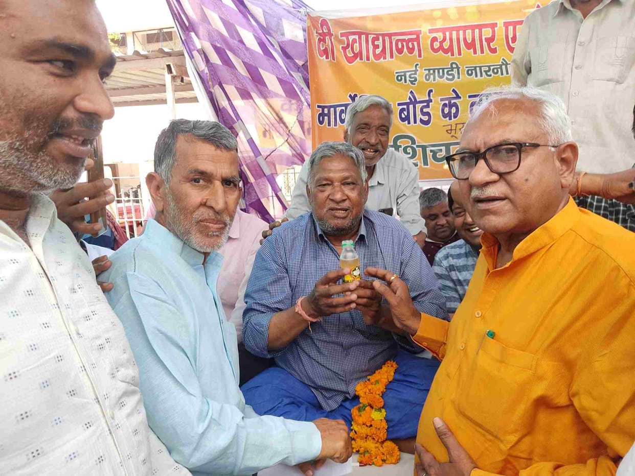 There is a strong demand of the agents, the purchase of mustard will be done only in the old grain market