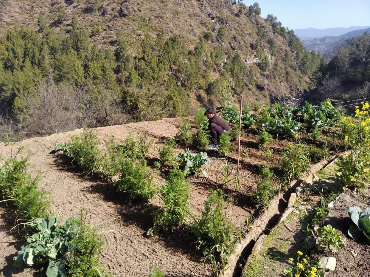 Watchman For Farming