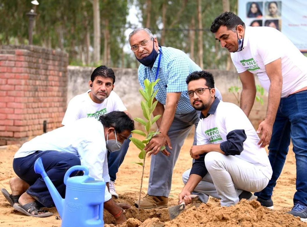 Special on World Forestry Day: Emphasis on planting saplings, protection has weakened