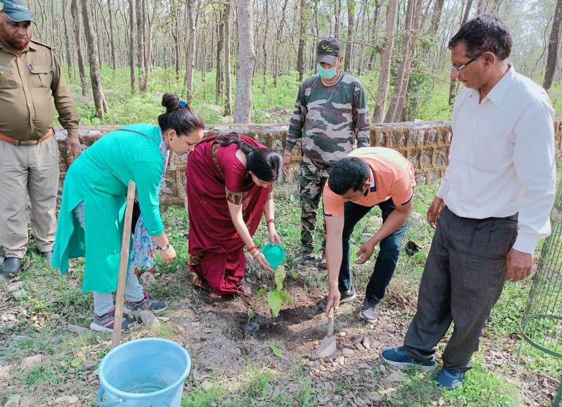 Mankind will be in danger if forests are not protected: Mayor