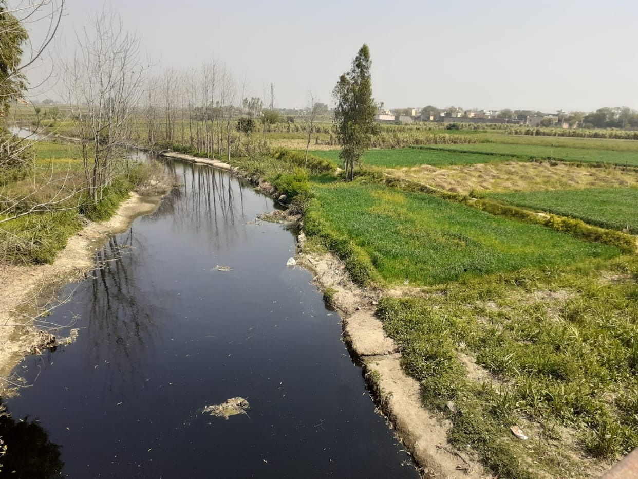 Serious disease spreading in Chowgama area due to contaminated water of rivers