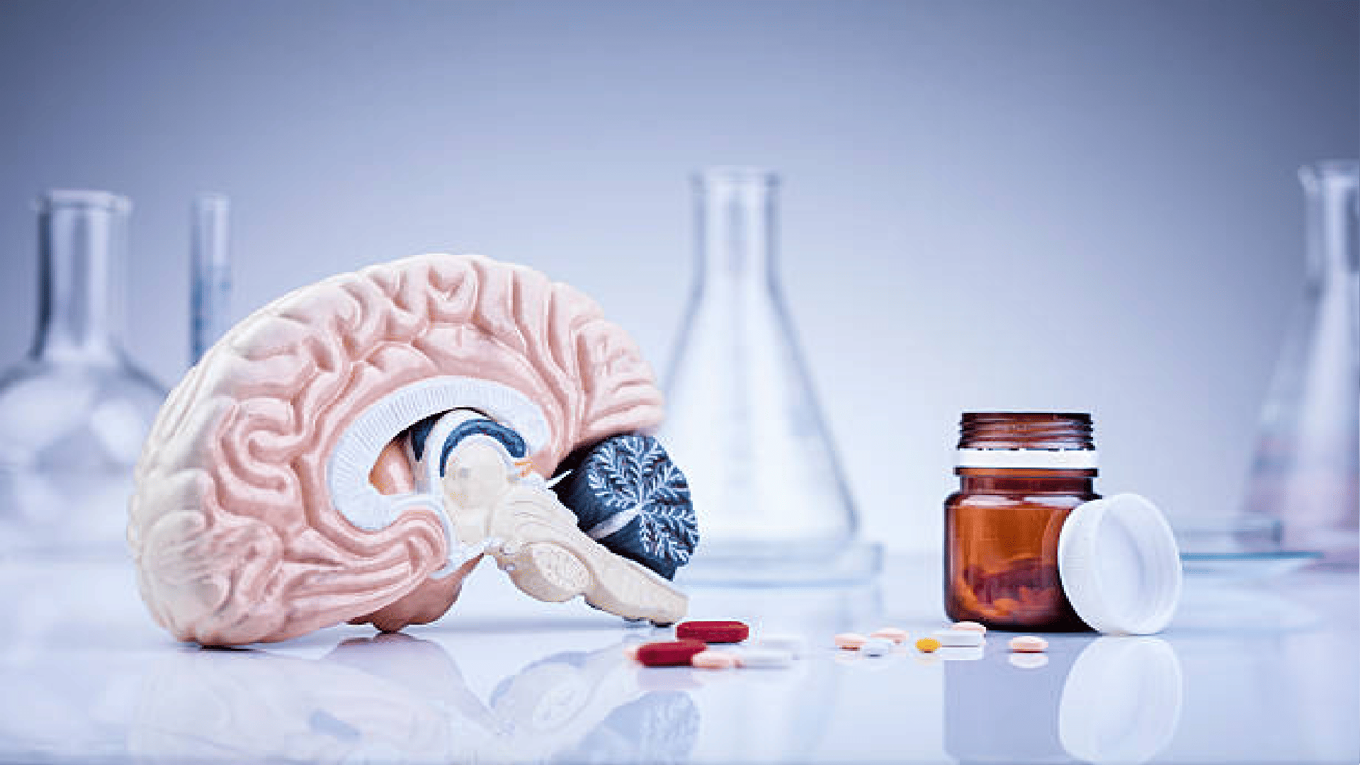 Scientists Discover Human Brain Is More Hotter Than We Expected Know Details In Hindi