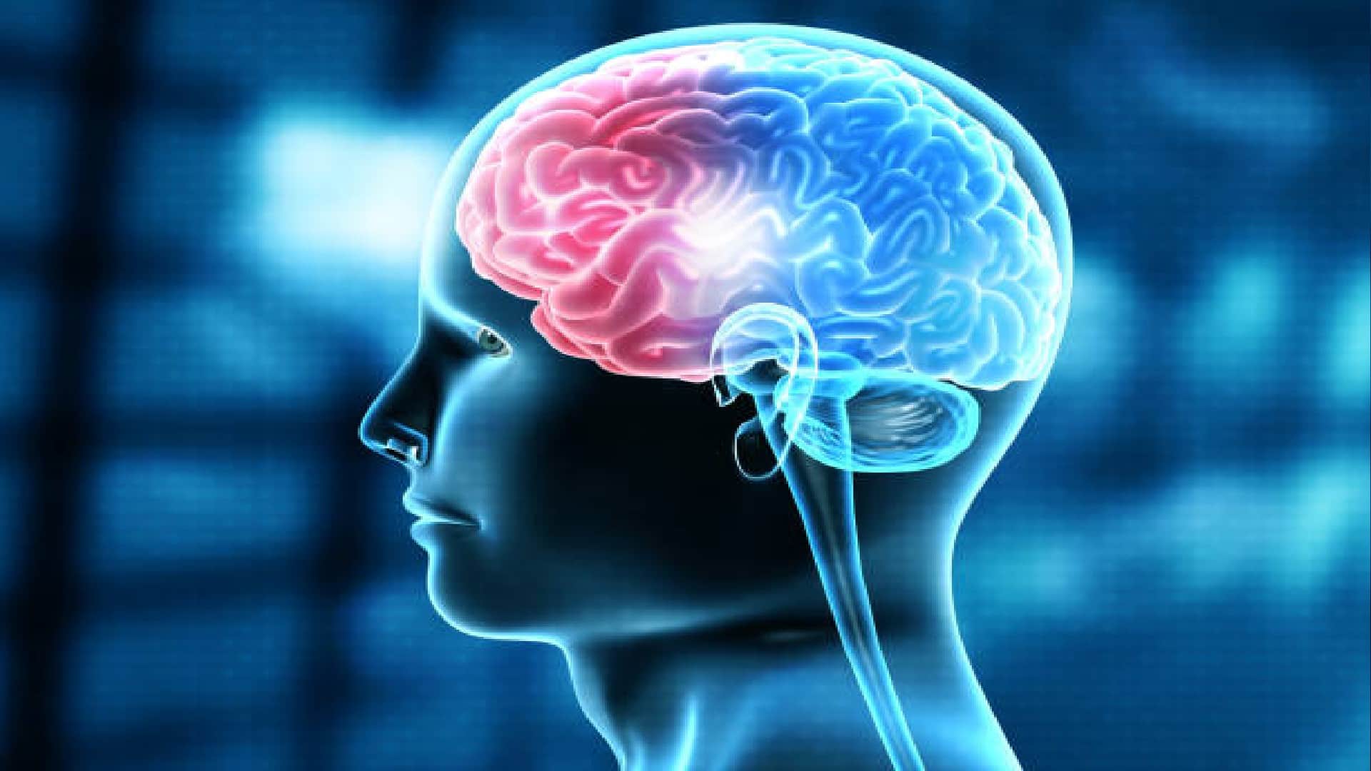 Scientists Discover Human Brain Is More Hotter Than We Expected Know Details In Hindi