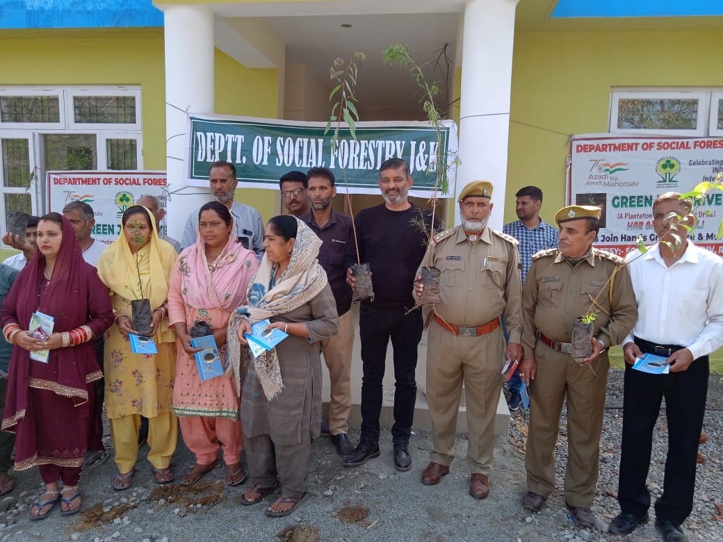 tree plantation
