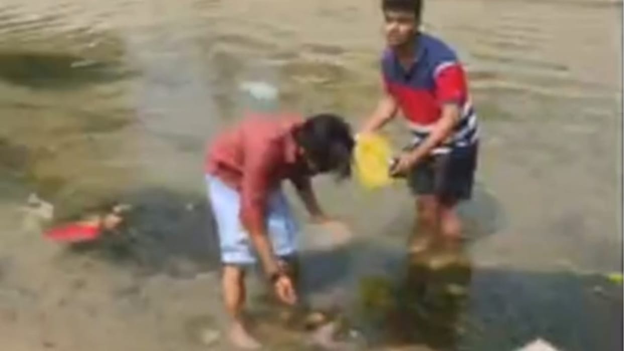 Embryo found in canal in Tohana of Haryana