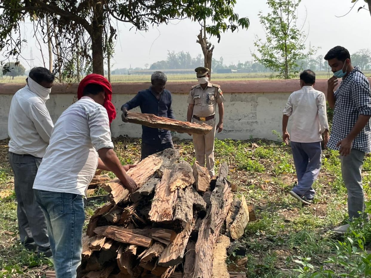 Dead leopard found in North Chowk range