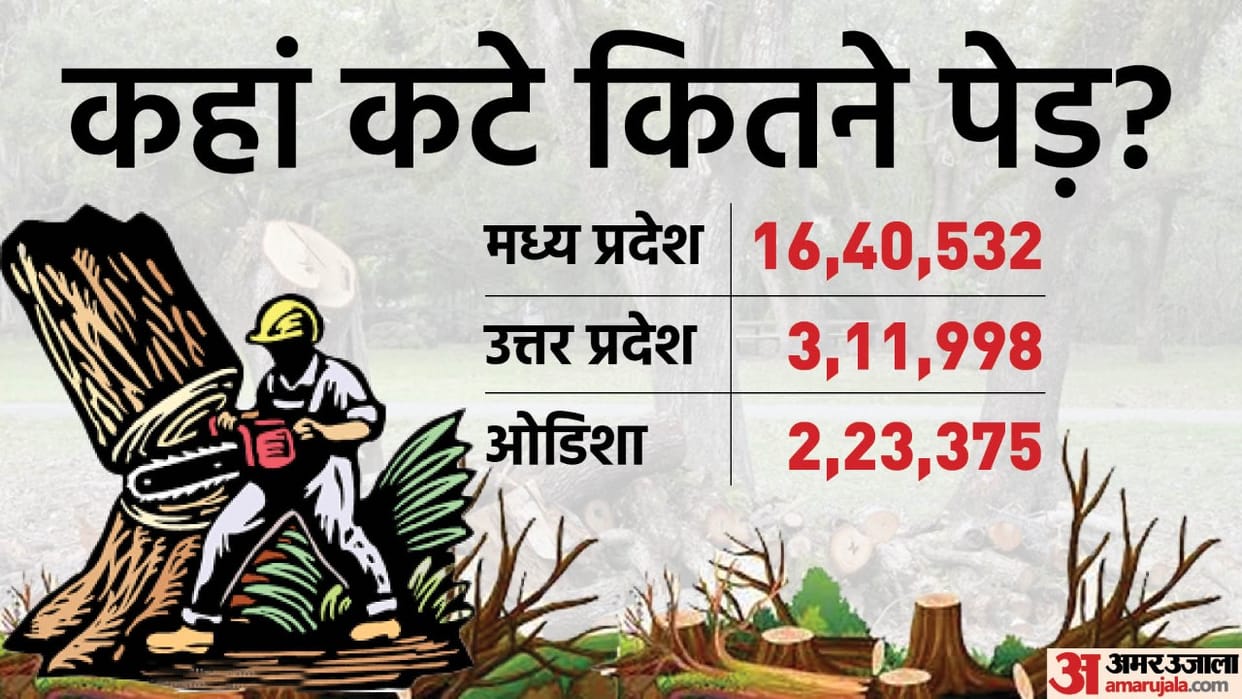 Over 30 lakh trees cut in India for developmental projects in 2020-21, none in Delhi: Govt1