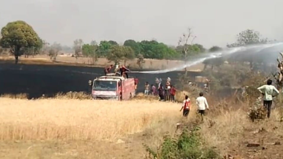 Sehore: Fire broke out in the forest of Ladkui, fields also came under fire, several acres of wheat crop burnt