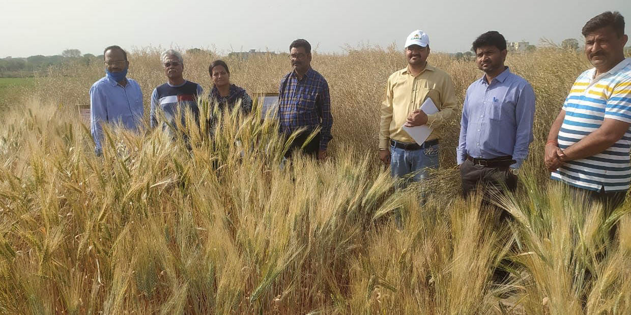 Bhabha Atomic Research Center will do research on Bundelkhand crops