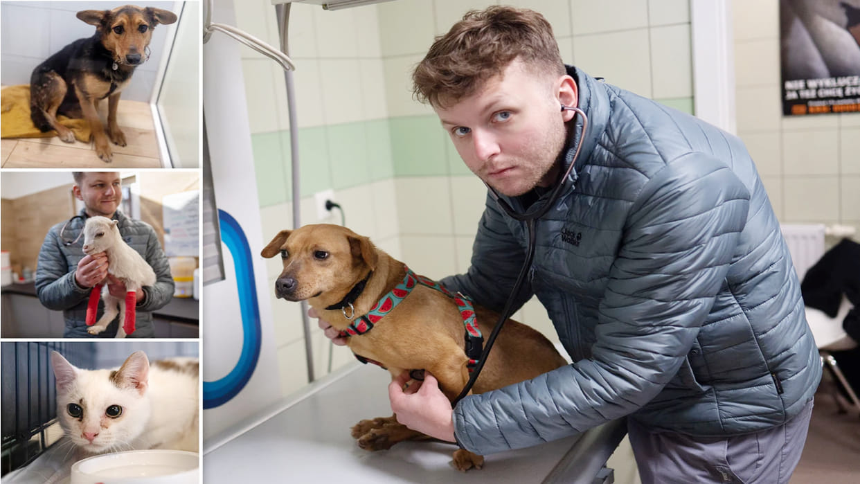 Russia Ukraine War: 32 year old man Jakub Kotowicz became the messiah of animals, saved the lives of 200 cats and 60 dogs in 15 days