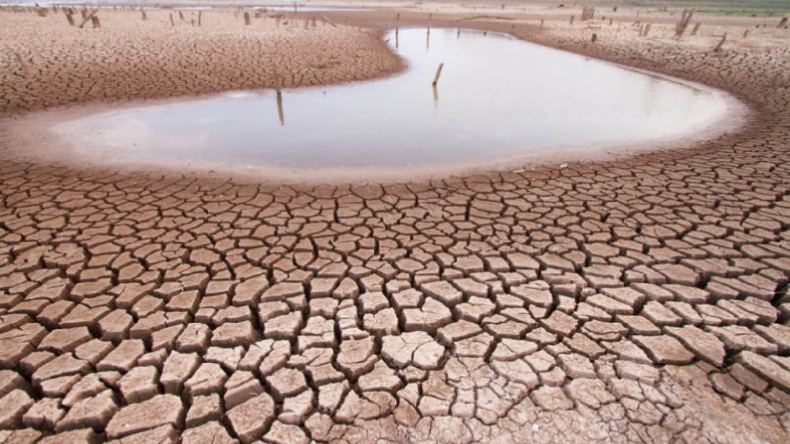World Water Day 2024 Date History Significance And Theme in Hindi