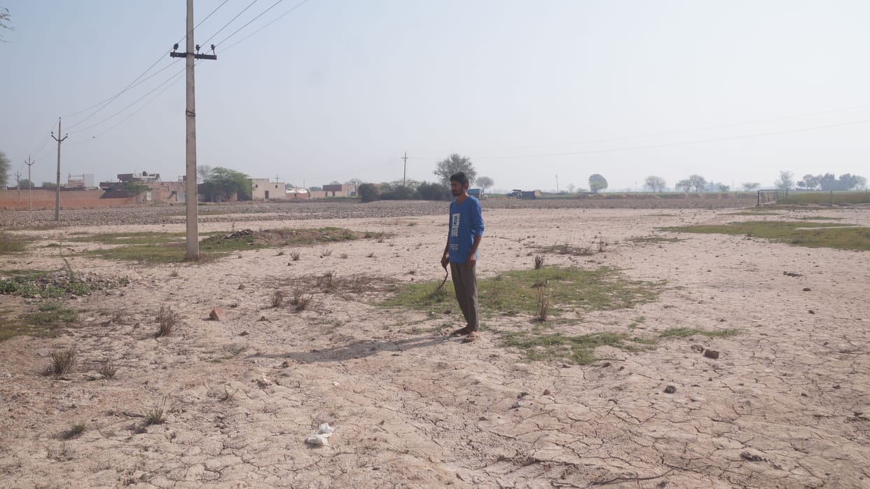22 acres of land of village Natar has become barren due to black sorghum, queens and Ellenabad are already included in the dark zone