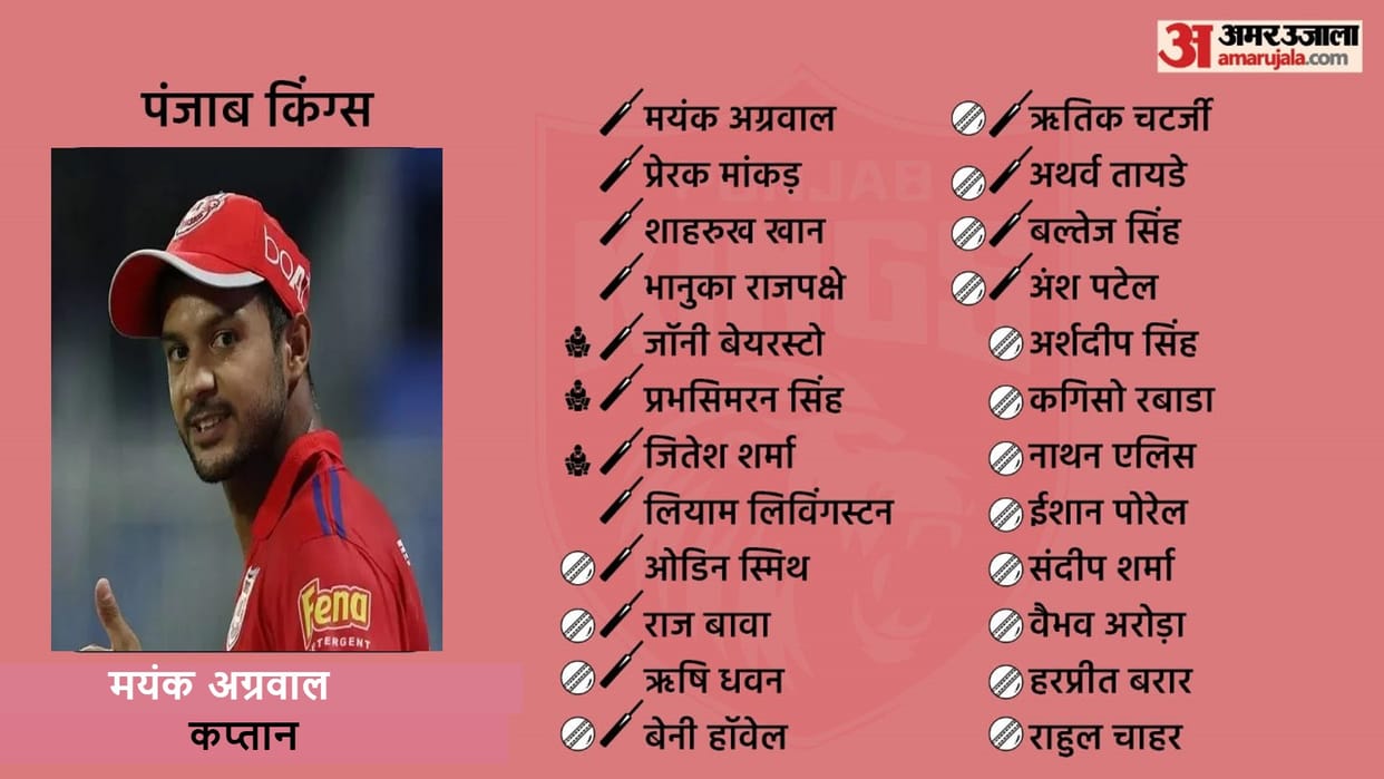 SWOT analysis of Punjab kings team strong opening pair but weak spin attack