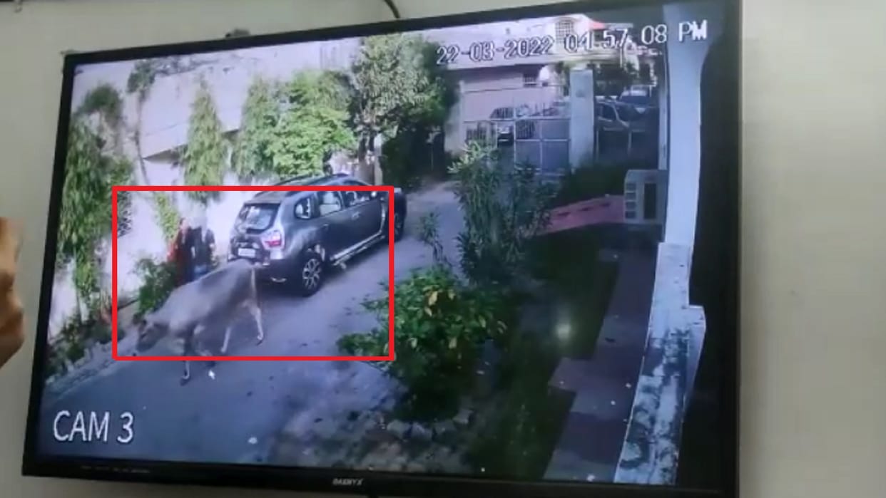 Meerut News: Crooks have looted chain from wife of bank manager