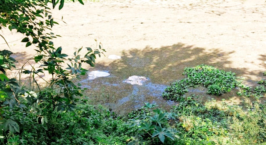 The sacks landing in the Gomti river became the subject of discussion