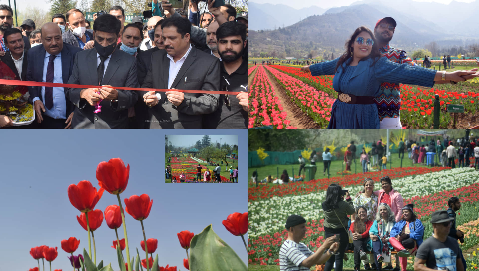 Srinagar Tulip Garden Open for public Today Asia Largest Tulip Garden