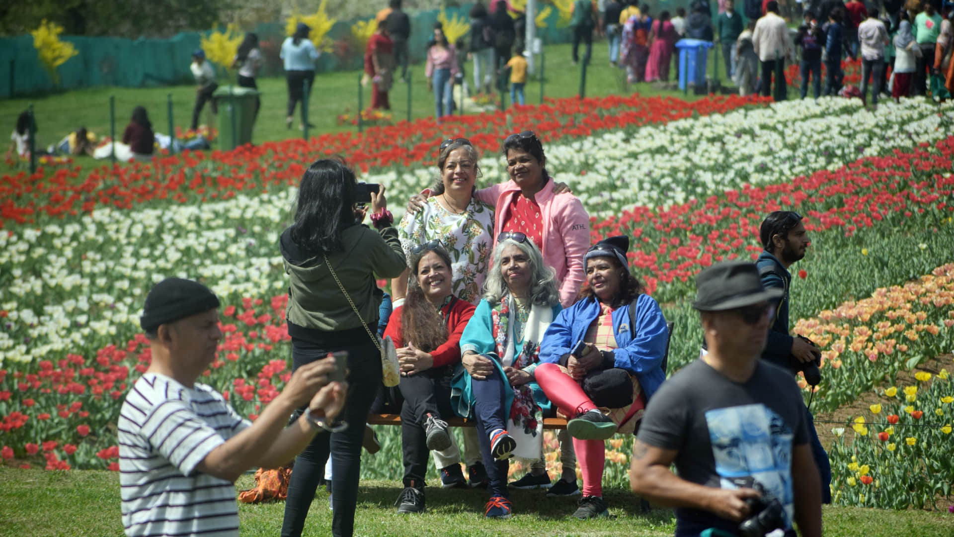 Srinagar Tulip Garden Open for public Today Asia Largest Tulip Garden