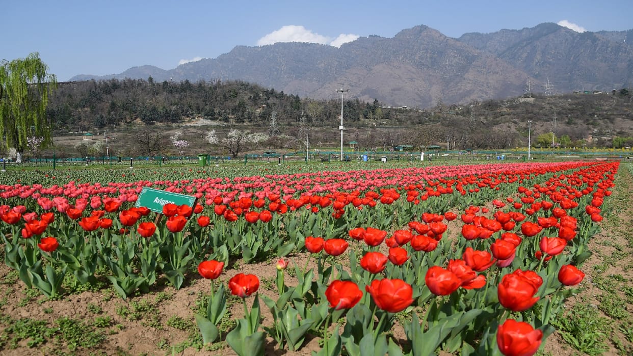 Two policemen arrested for extorting Tulip Garden ticket owner Srinagar