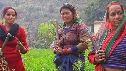 bjp promises in uttarakhand expectation from pushkar singh dhami govt to youth and farmers news in hindi