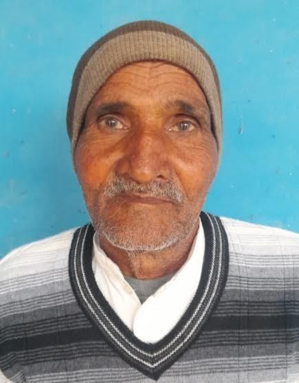 Old man died due to bee bite