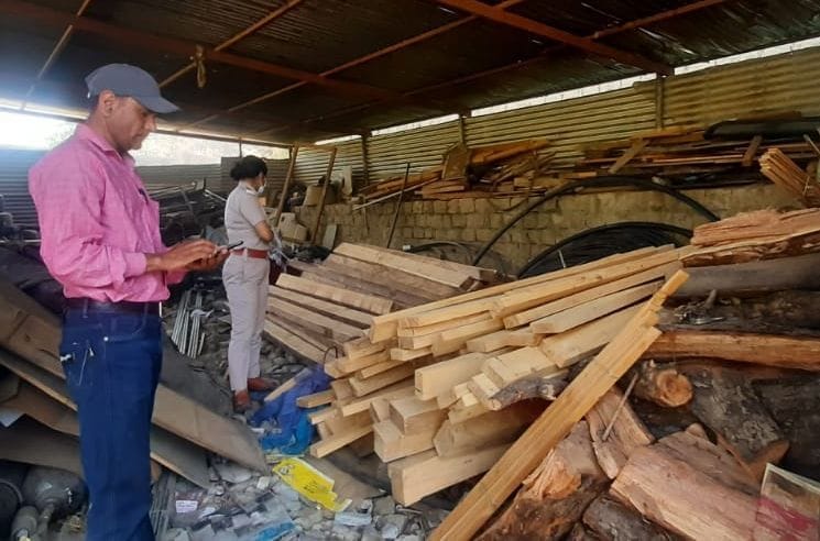 Raid on wood depot, 182 illegal cedar stones recovered