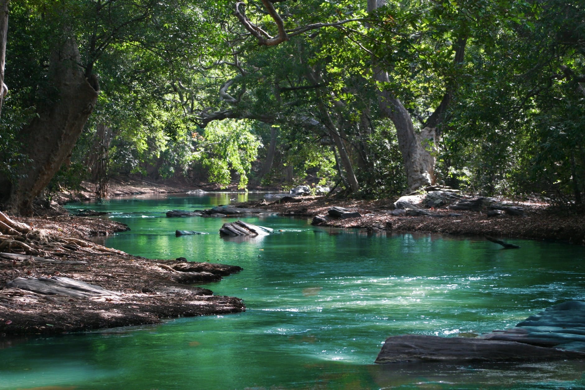 Most Beautiful Lakes in India You Must Visit There Once News in Hindi