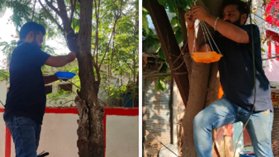 पक्षियों की प्यास बुझाने के लिए युवा आगे आ रहे हैं।