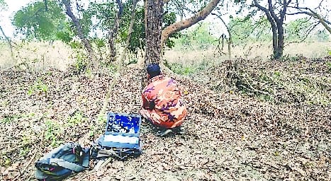 In the final phase of tiger census, 1220 cameras were installed