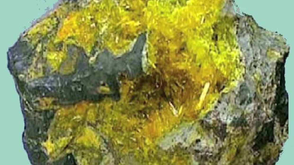 Now the remains of uranium found in Kunah and Pung Khad of Hamirpur