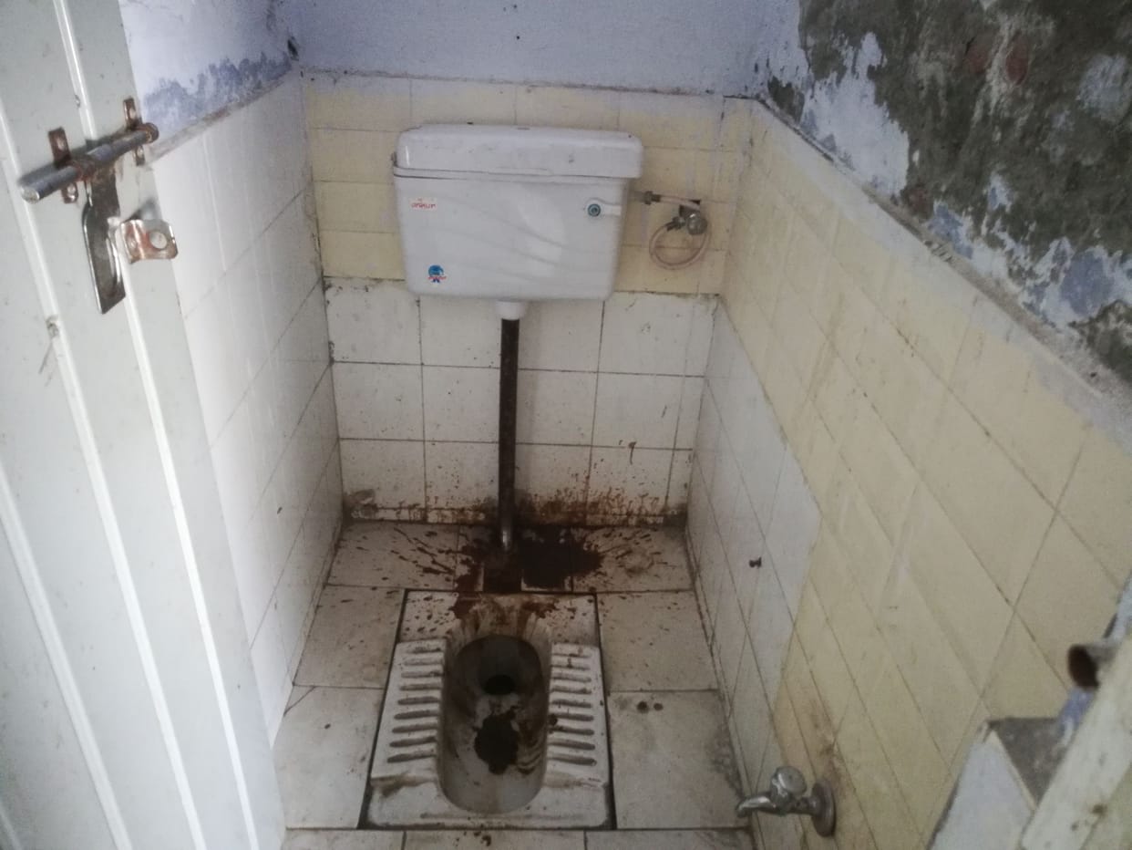 Grain Market: Dirt in the toilet, dogs are resting...