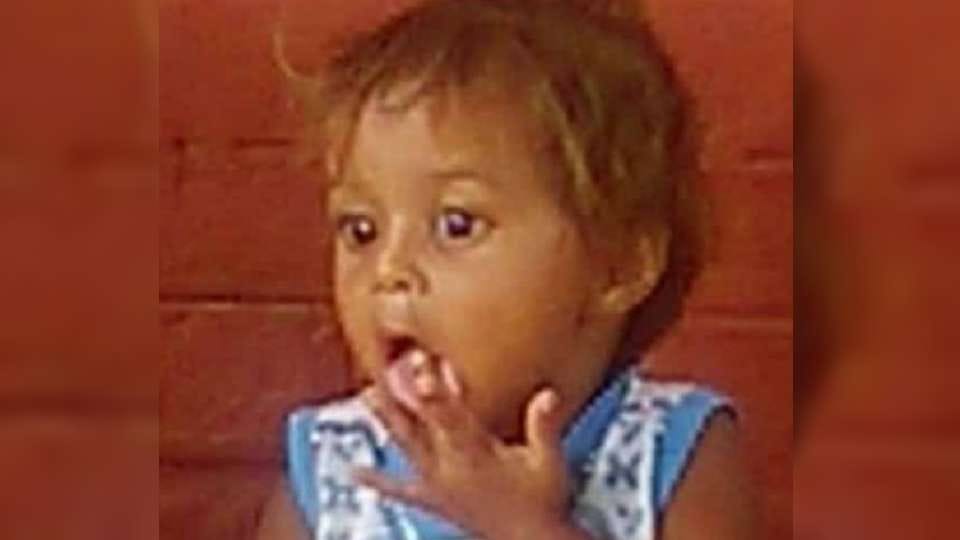 Dogs thrashed two and a half year old girl to death