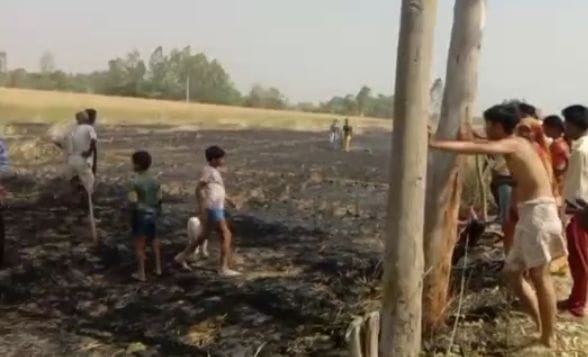 Five bighas of wheat crop ashes due to fire