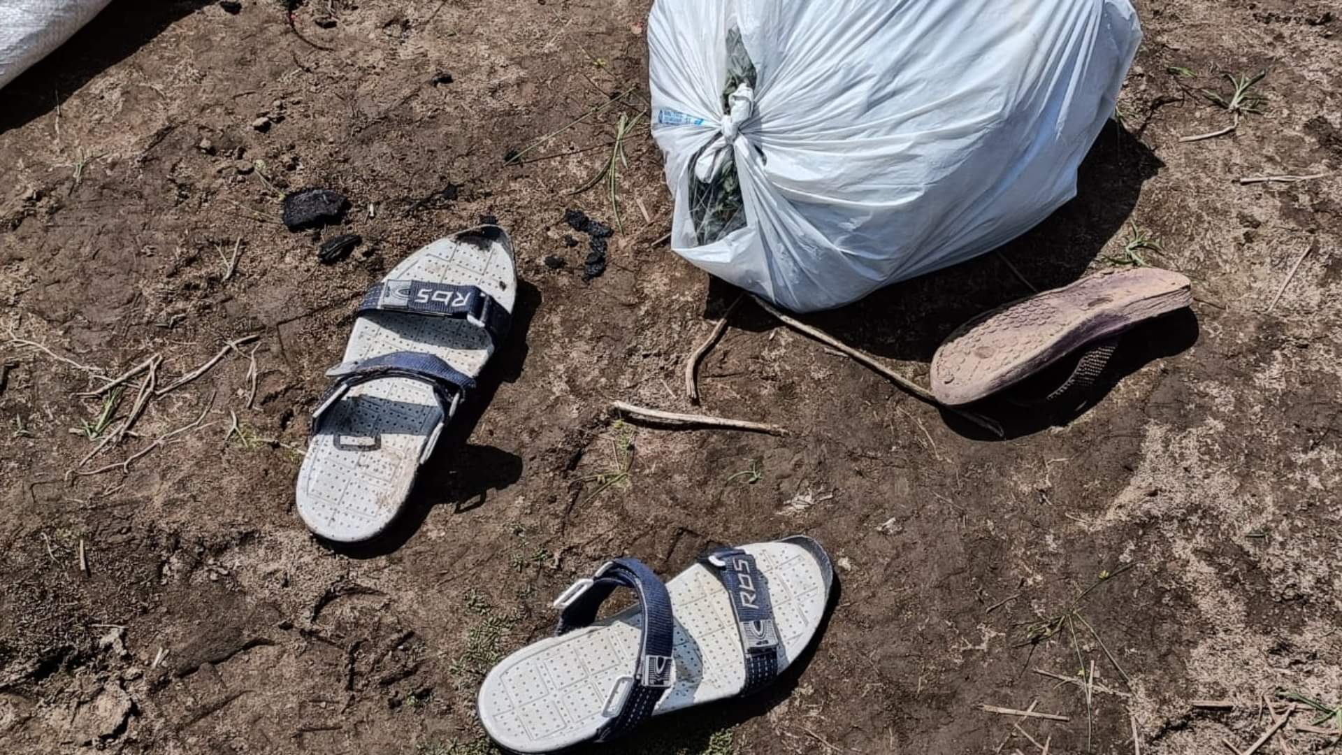 Two human skeletons found in field in Bahadurgarh of Haryana