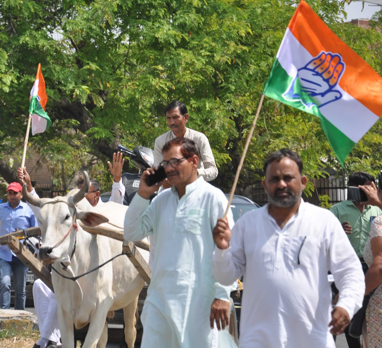 Empty cylinders on bullock cart, Congressmen came on the road with scooty