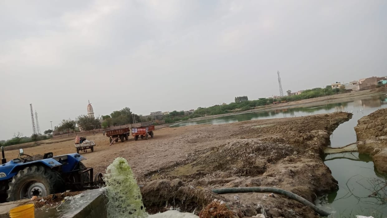 Bushes and decaying roads at procurement centers, so where will the grain donors put grains
