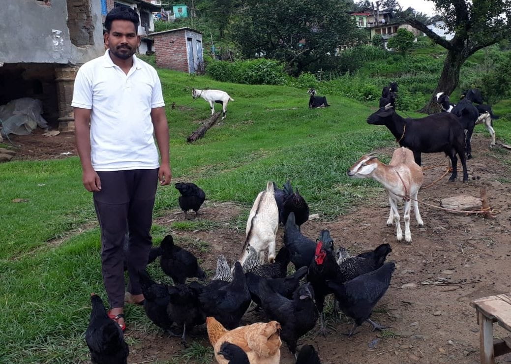 Self Employment in Lohaghat