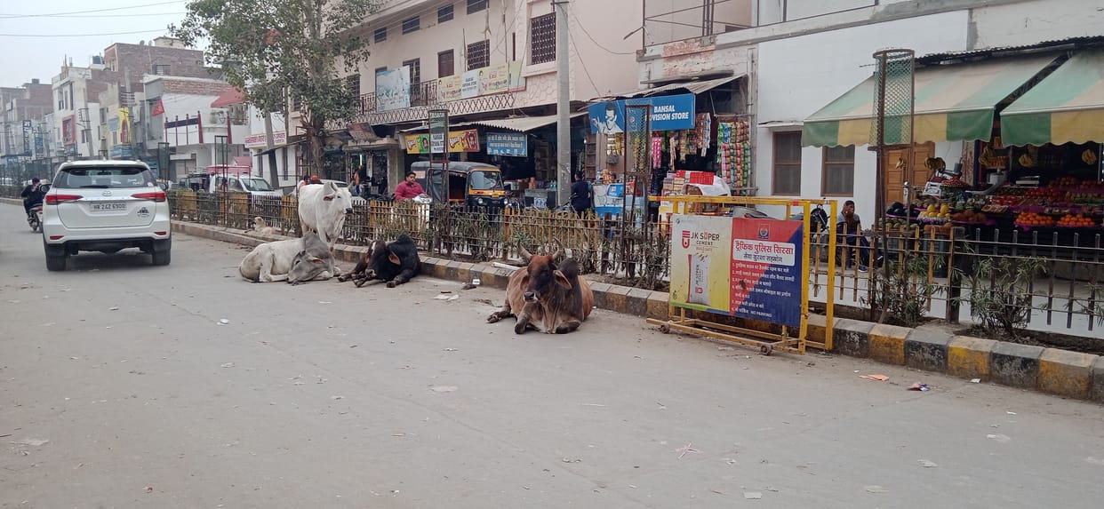 Cleanliness survey team knocks in the district, will conduct survey at district headquarters by next week