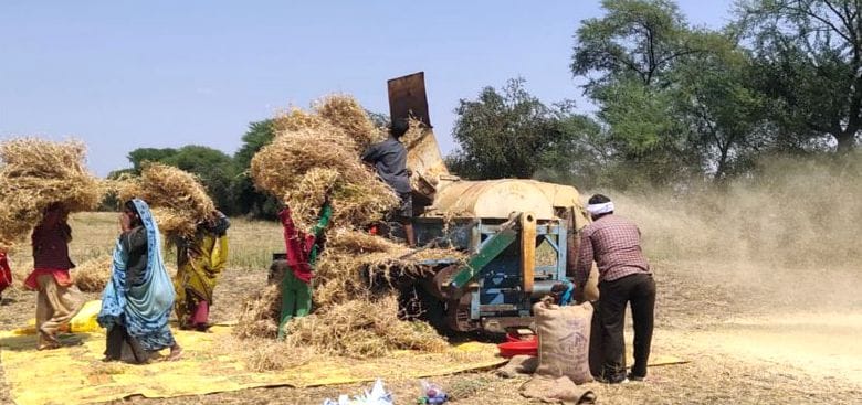 Farmers worried about change in weather