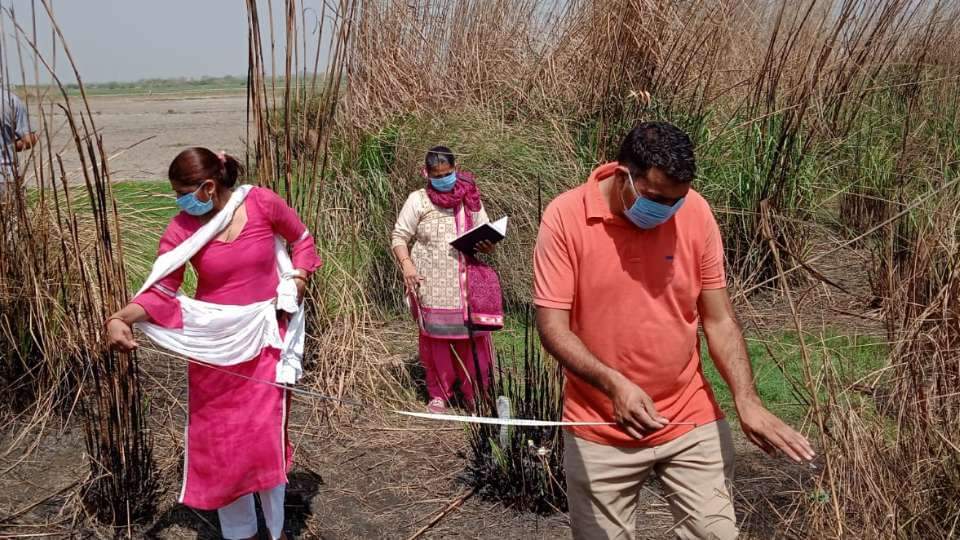 Two human skeletons found in field in Bahadurgarh of Haryana