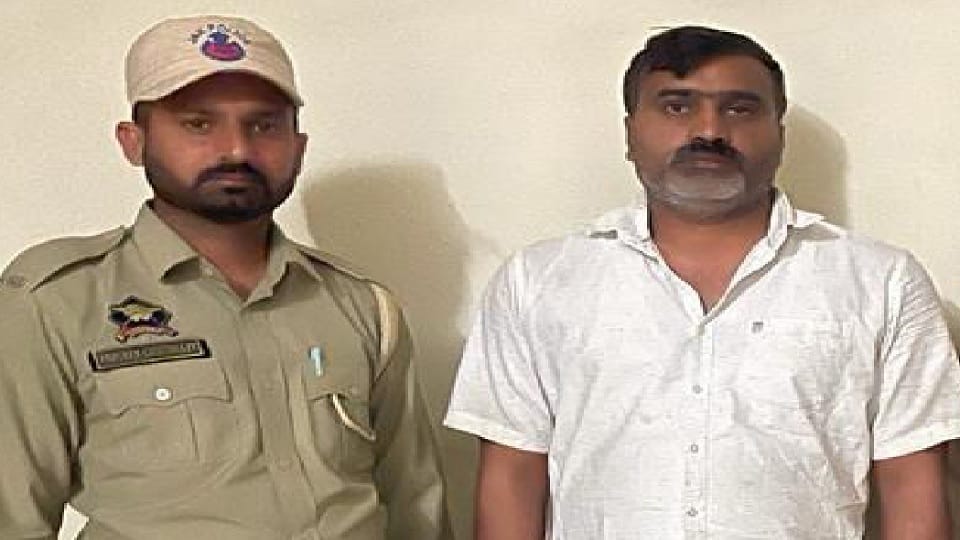 Fake degree racket busted, Himachal accused arrested with 100 fake documents