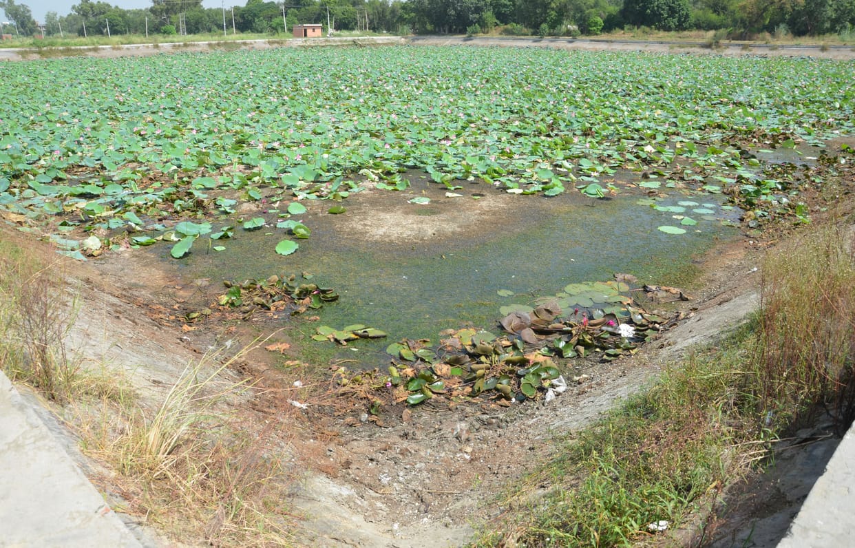 Public crisis: Old water tank empty, rationing starts one day except one day